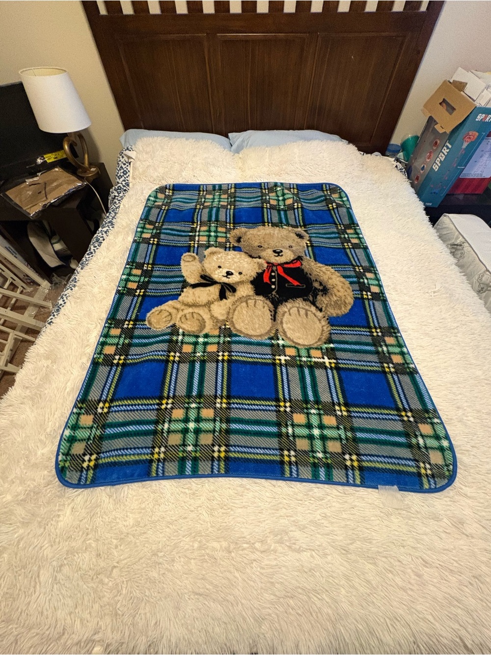 Plush Teddy Bear Plaid Throw Blanket - Blue